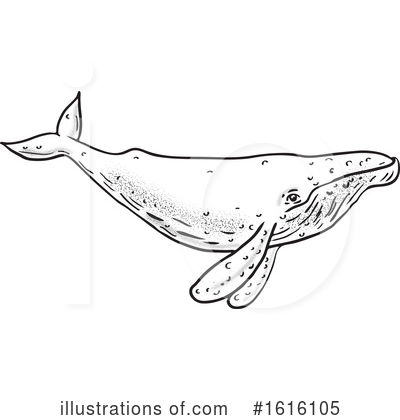 Humpback Whale Clipart #1616105 by patrimonio