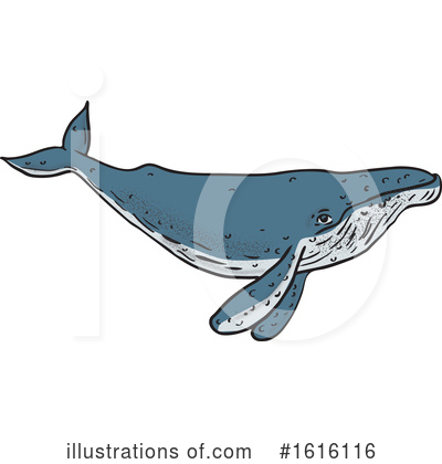 Royalty-Free (RF) Whale Clipart Illustration by patrimonio - Stock Sample #1616116