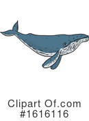 Whale Clipart #1616116 by patrimonio
