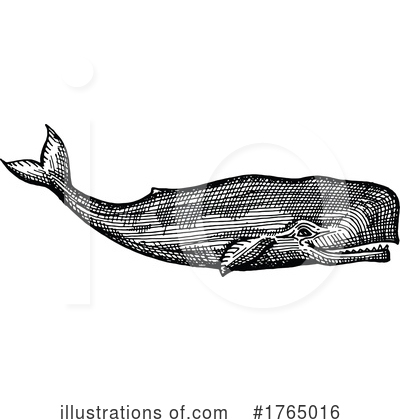 Royalty-Free (RF) Whale Clipart Illustration by Vector Tradition SM - Stock Sample #1765016