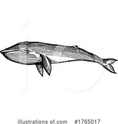 Royalty-Free (RF) Whale Clipart Illustration by Vector Tradition SM - Stock Sample #1765017