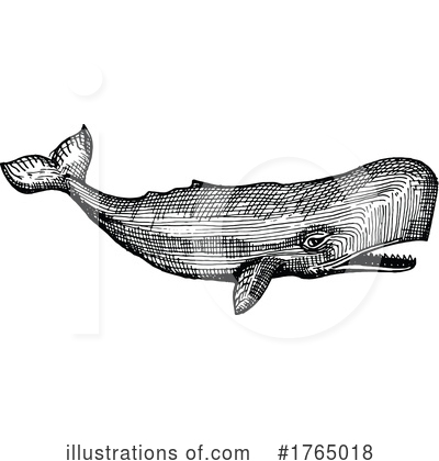 Royalty-Free (RF) Whale Clipart Illustration by Vector Tradition SM - Stock Sample #1765018