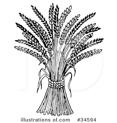 Royalty-Free (RF) Wheat Clipart Illustration by C Charley-Franzwa - Stock Sample #34594