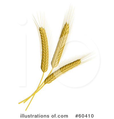 Royalty-Free (RF) Wheat Clipart Illustration by Oligo - Stock Sample #60410