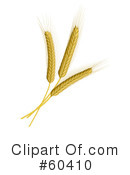 Wheat Clipart #60410 by Oligo