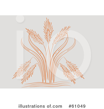 Royalty-Free (RF) Wheat Clipart Illustration by pauloribau - Stock Sample #61049