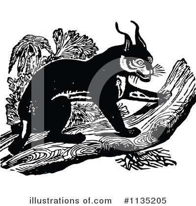 Caracal Clipart #1135205 by Prawny Vintage
