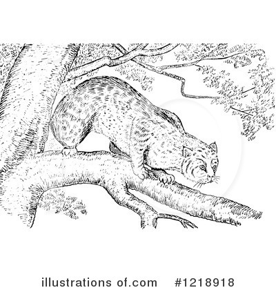 Royalty-Free (RF) Wildcat Clipart Illustration by Picsburg - Stock Sample #1218918