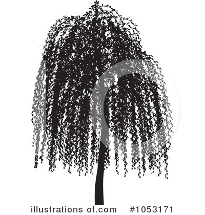 Willow Clipart #1053171 by KJ Pargeter