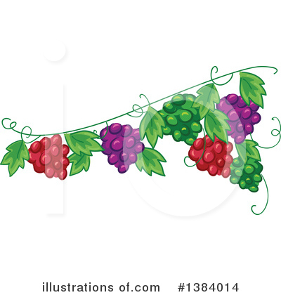 Grapevine Clipart #1384014 by BNP Design Studio