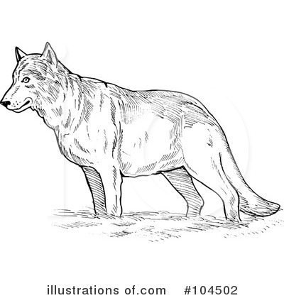 Royalty-Free (RF) Wolf Clipart Illustration by patrimonio - Stock Sample #104502
