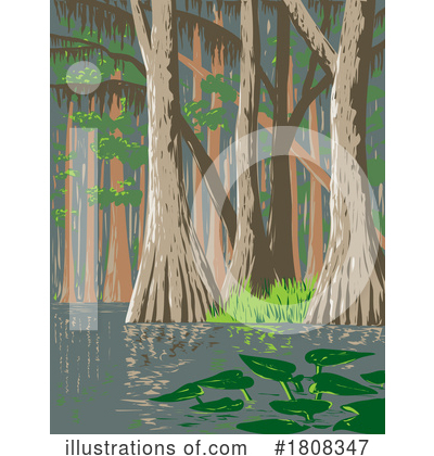 Swamp Clipart #1808347 by patrimonio