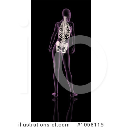 Royalty-Free (RF) Xray Clipart Illustration by KJ Pargeter - Stock Sample #1058115
