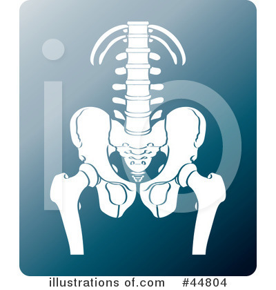 Skeleton Clipart #44804 by Lal Perera