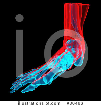 Royalty-Free (RF) Xray Clipart Illustration by Mopic - Stock Sample #86466