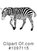 Zebra Clipart #1097115 by dero