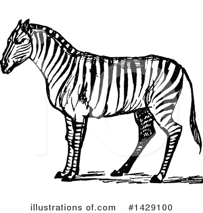 Royalty-Free (RF) Zebra Clipart Illustration by Prawny Vintage - Stock Sample #1429100