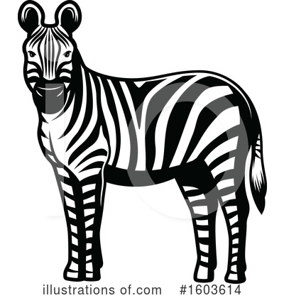 Zebra Clipart #1603614 by Vector Tradition SM