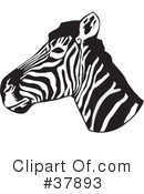 Zebra Clipart #37893 by David Rey