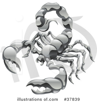 Scorpions Clipart #37839 by AtStockIllustration