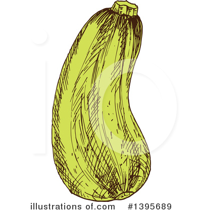 Zucchini Clipart #1395689 by Vector Tradition SM